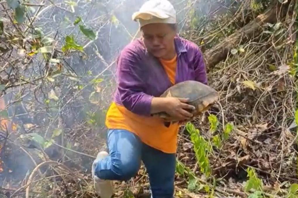 Comunaria rescata a una tortura del fuego Comunaria rescata a una tortura del fuego