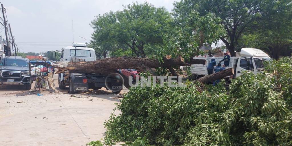 Al Extremo Calor Se Suman Fuertes R Fagas De Viento Que Podr An