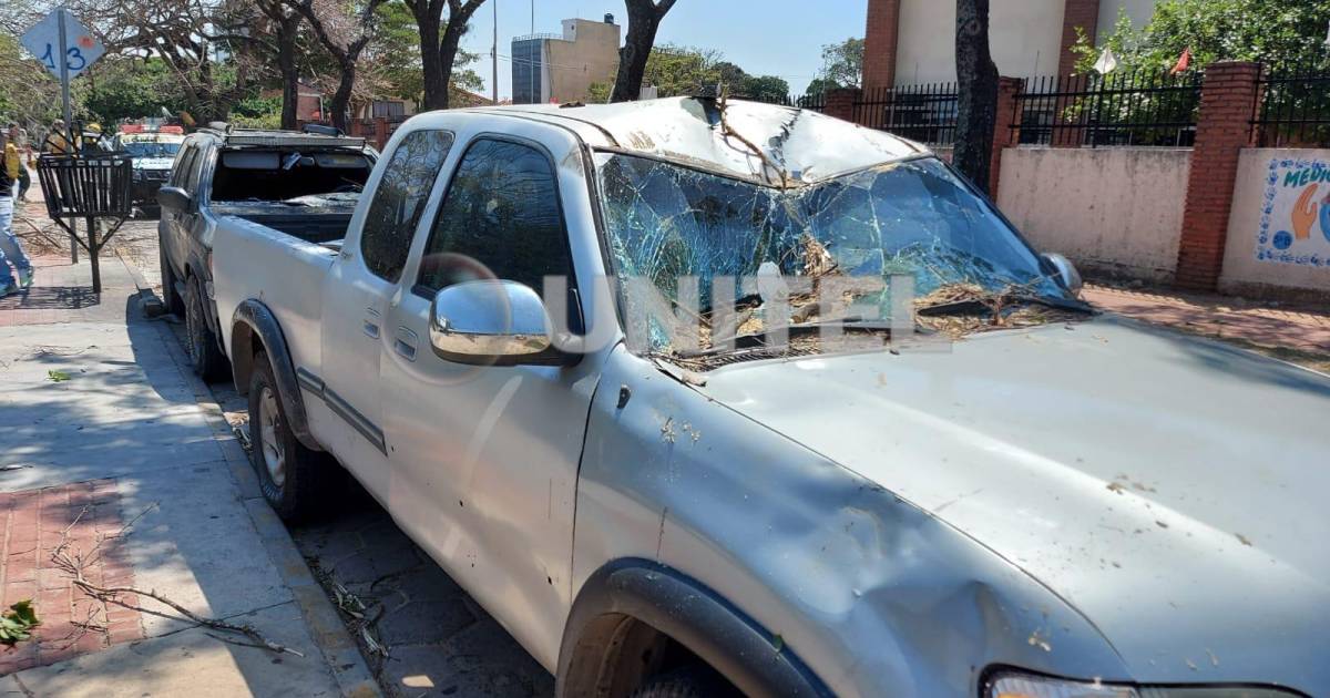 Video Rbol Cae Sobre Tres Motorizados En Santa Cruz De La Sierra Por