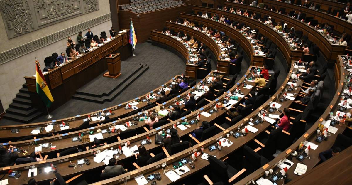 Suspenden la sesión de Diputados tras polémica por aprobación en grande