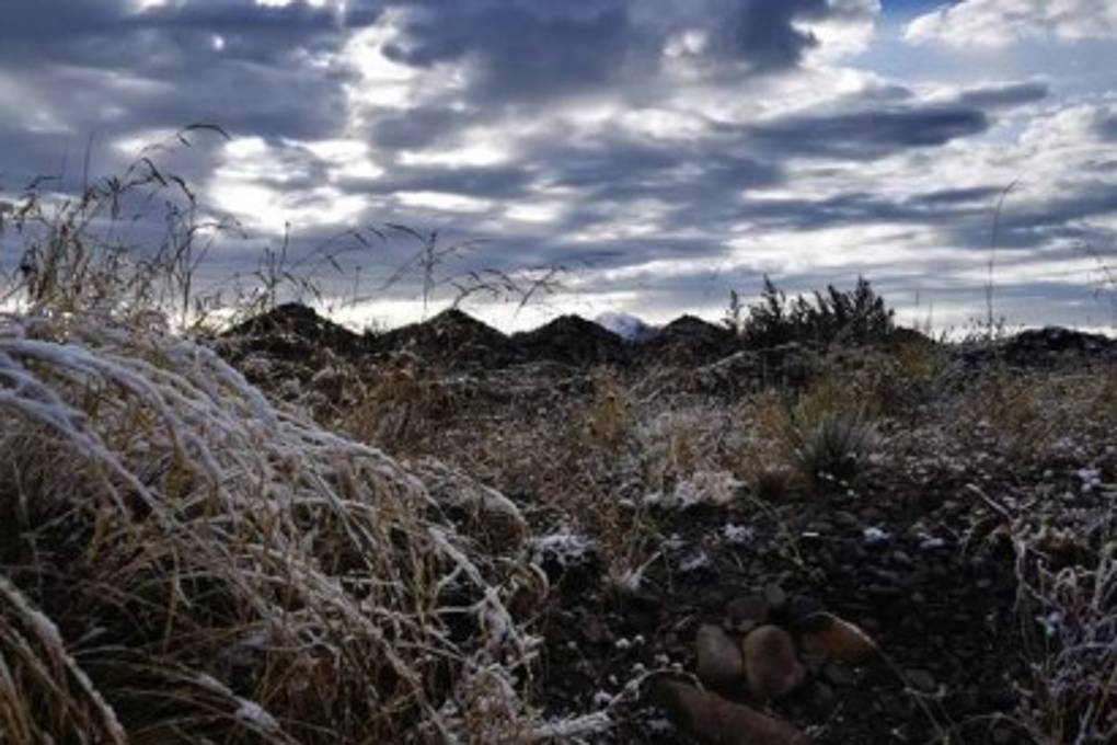 Un 'manto blanco' cubre los Valles cruceños y El Alto en el ingreso del frente frío en Bolivia Un 'manto blanco' cubre los Valles cruceños y El Alto en el ingreso del frente frío en Bolivia