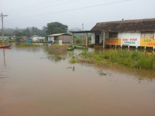 Pando Las Inundaciones A Slan Poblaciones Y Afectan La Producci N