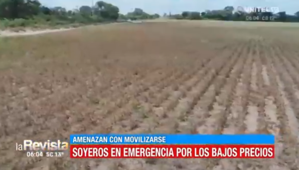 Soyeros En Emergencia Por Los Bajos Precios Amenazan Con Movilizaciones