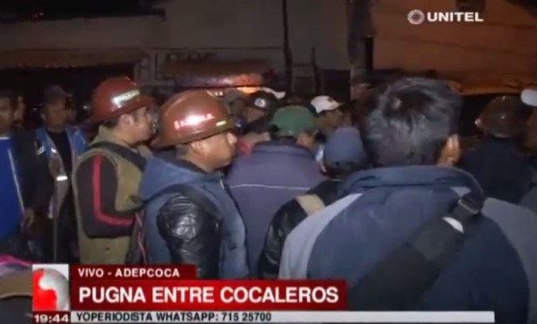 Cocaleros De Yanacachi Y Huancan Se Disputan Un Terreno En La Zona De