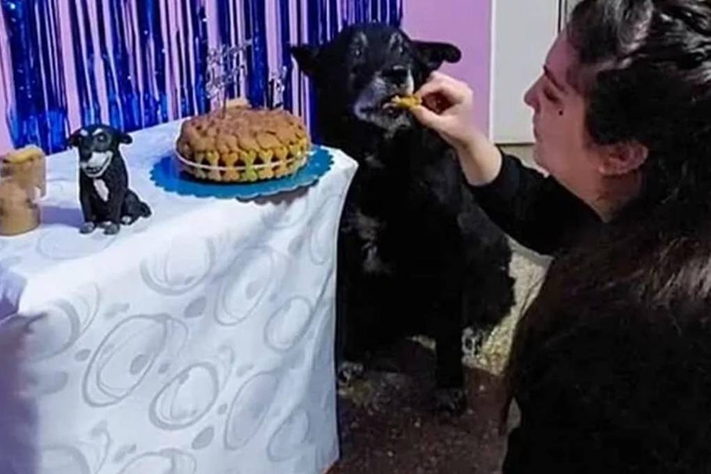 Junior junto a su dueña