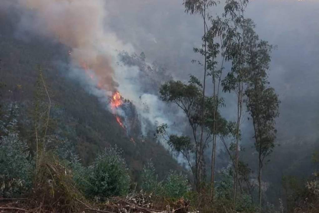 Incendio en Quime 