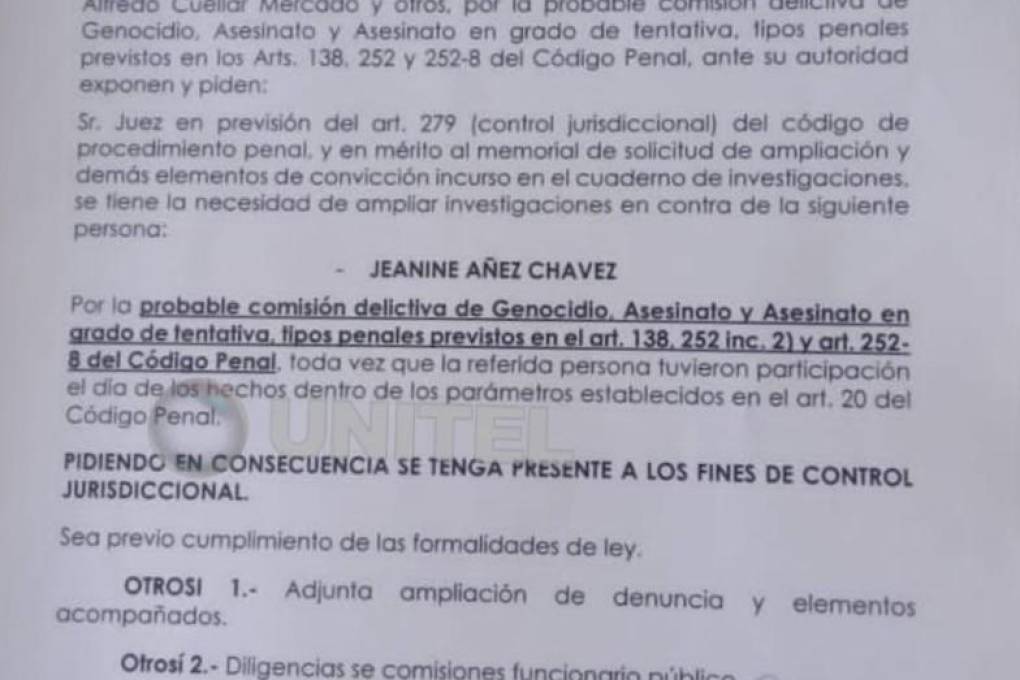 El documento de ampliación de investigación contra Añez.