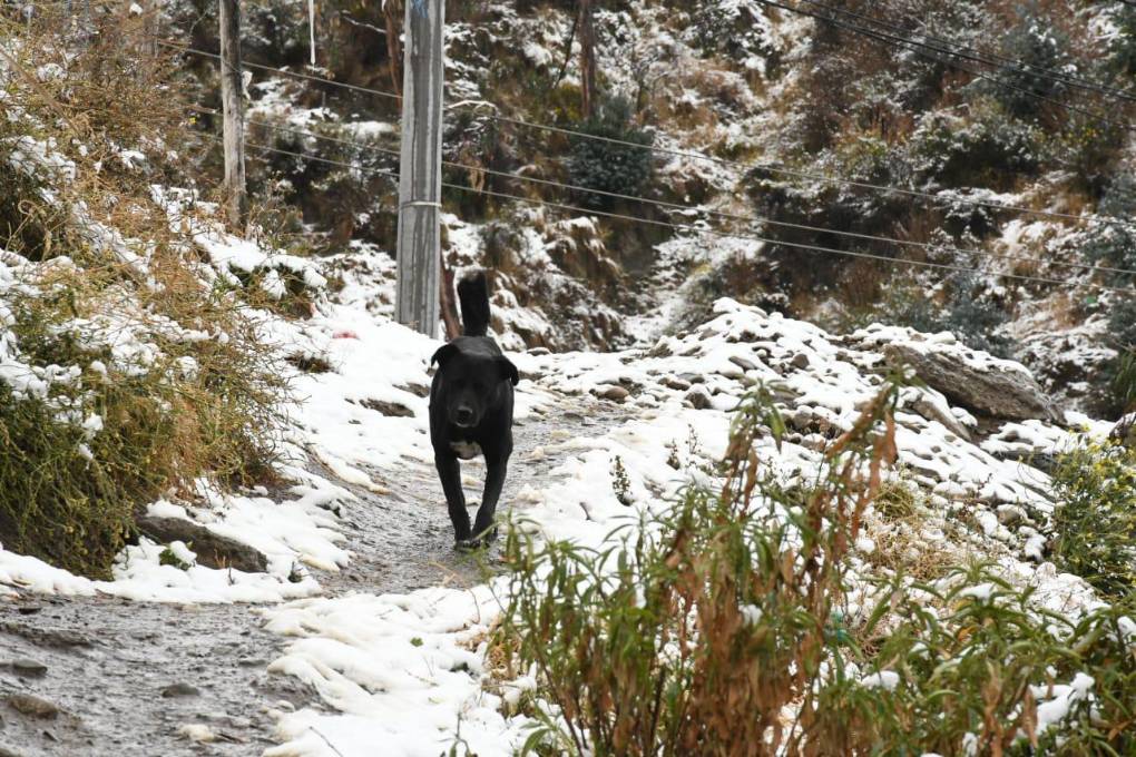 Zona de Villa el Carmen y sus laderas amanecieron nevadas.