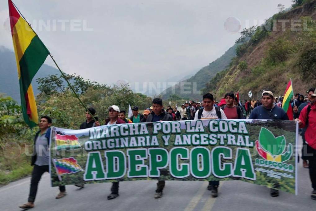 Socios de Adepcoca piden Censo en 2023 y asumirán medidas mediante un Cabildo yungueño