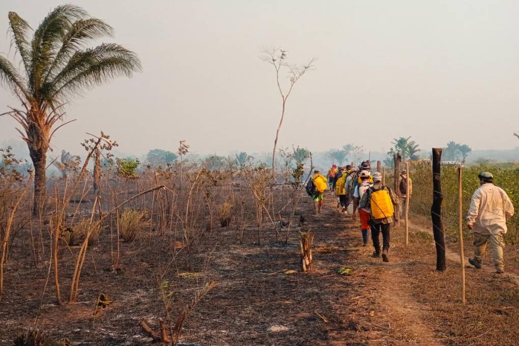 Los incendios no han dado tregua en diversas regiones del país