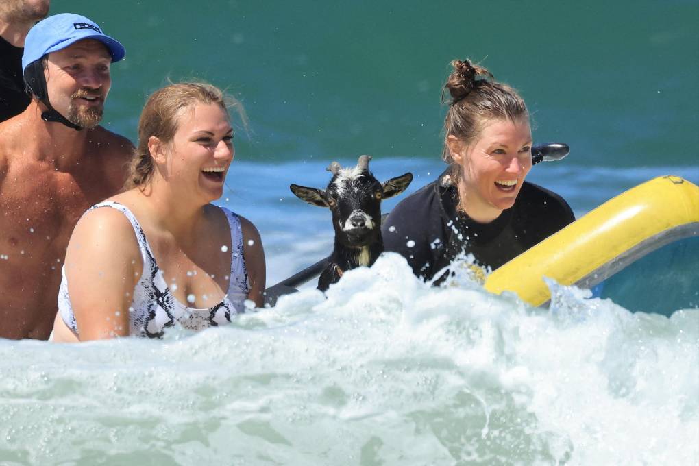 Elizabeth French y Rebekah Abern surfean con la cabra Chupacabrah.