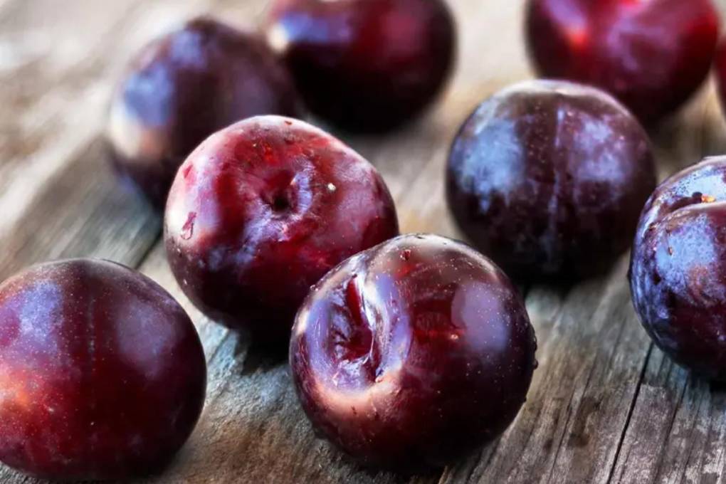 Una mujer utilizó ciruelos para elaborar una receta laxante