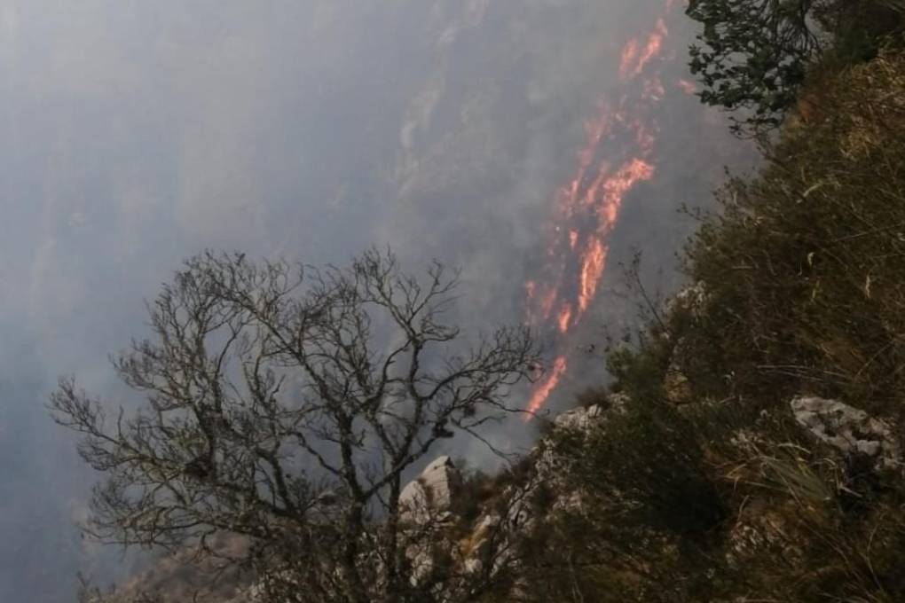 Incendios en el Cerro Characayo - Potosí 