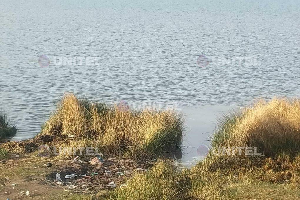Contaminación del lago Titicaca.
