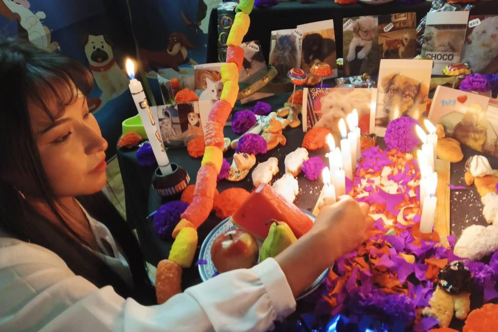 Una persona enciende una vela para las mascotas fallecidas.