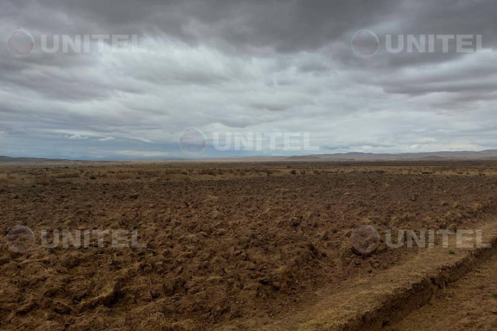 Los cultivos de Collana quedaron secos y sin agua