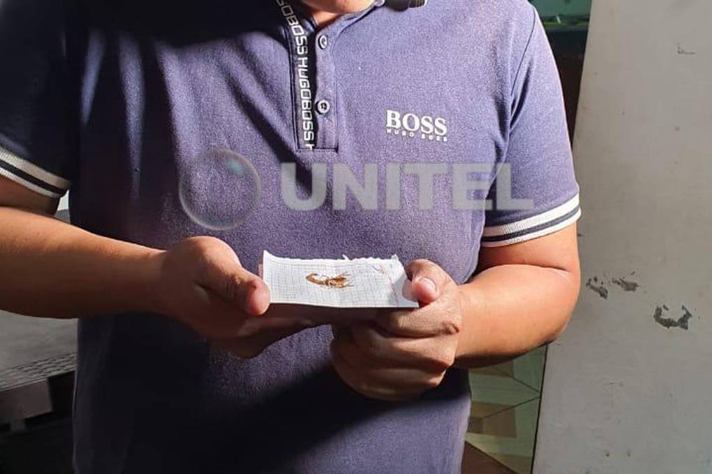 El propietario del inmueble muestra uno de loa alacranes que encontró