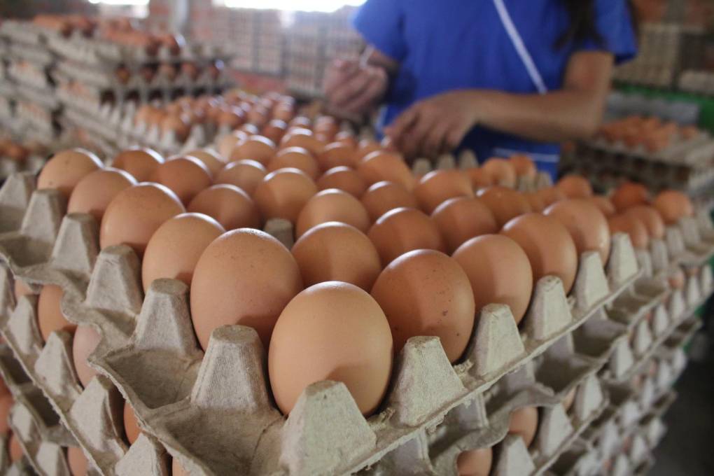 El precio del huevo se disparó en las últimas semanas