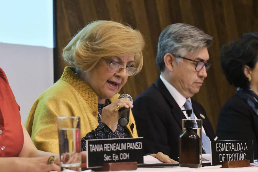 La vicepresidenta de la CIDH, Esmeralda Arosemena de Troitiño, dio a conocer el informe preliminar de la CIDH