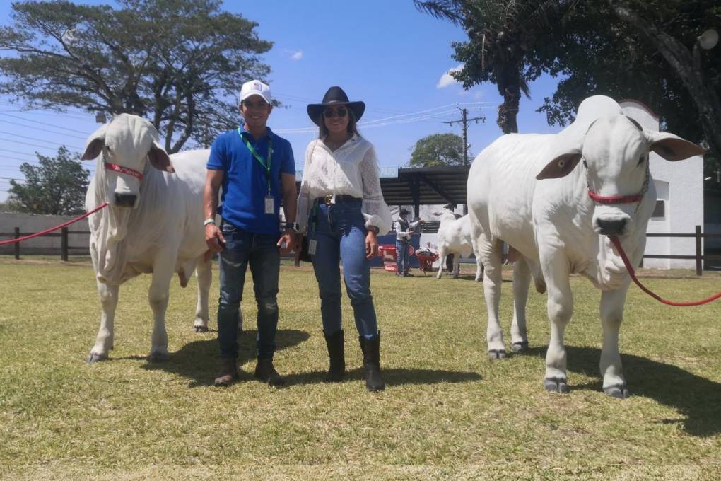 Nuevas generaciones de ganaderos llegan a Bolivia con el interés de concretar negocios