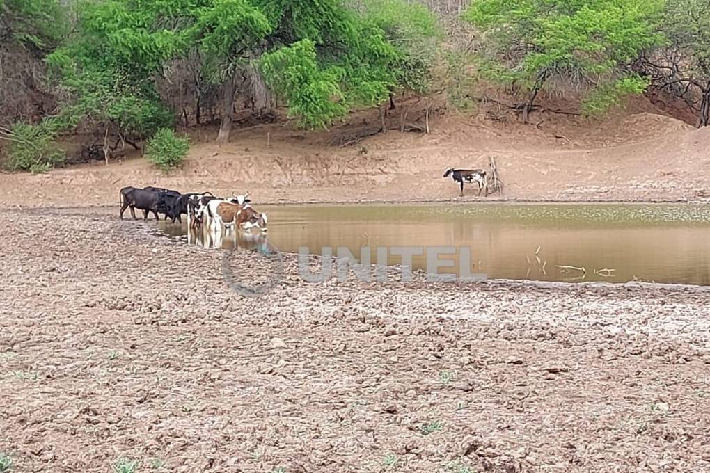 La población lamenta que el ganado tiene dificultades para acceder a agua