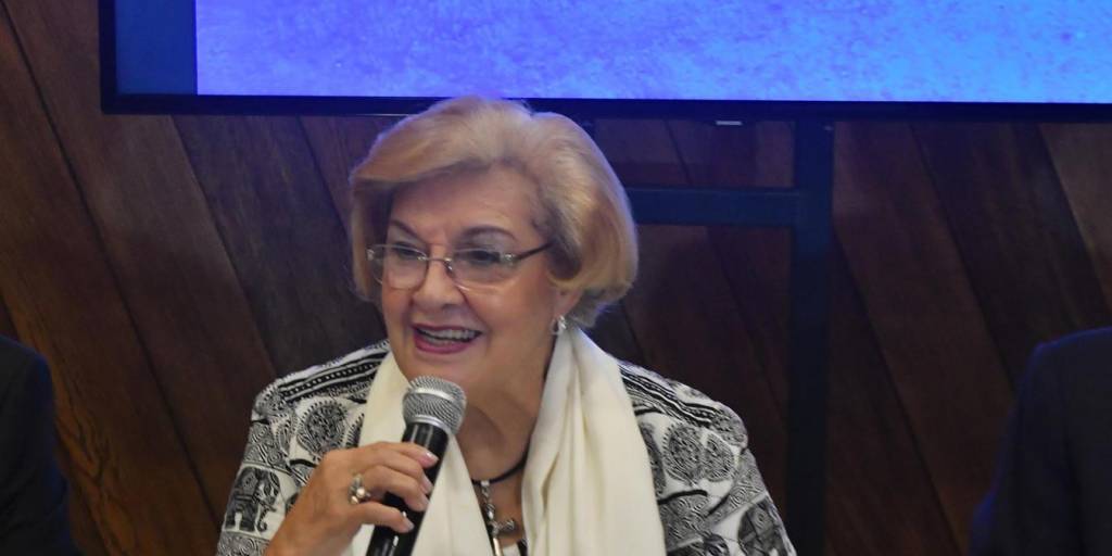 La vicepresidenta de la CIDH, Esmeralda Arosemena de Troitiño, dio a conocer el informe preliminar de la CIDH