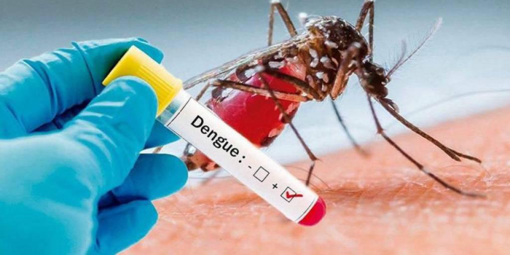 Una imagen referencial sobre el dengue.