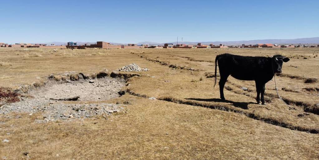 Una de las regiones de El Alto que se quedó sin agua.