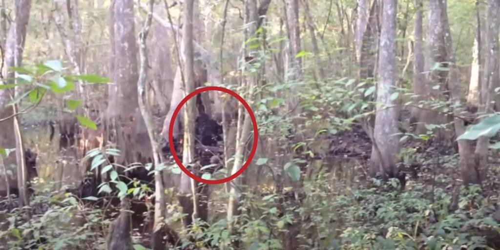 ¡Desconcertante! Aparece un supuesto video de “pie grande” y genera