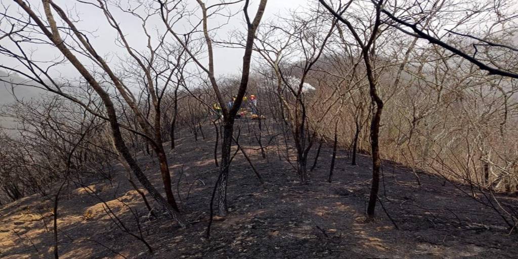 En Bolivia se quemaron más de 2,6 millones de hectáreas en lo que va del año, según el Gobierno