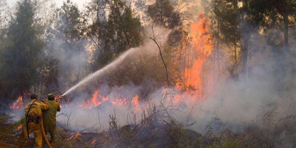 El incendio forestal activo desde hace 11 días en el este de Cuba