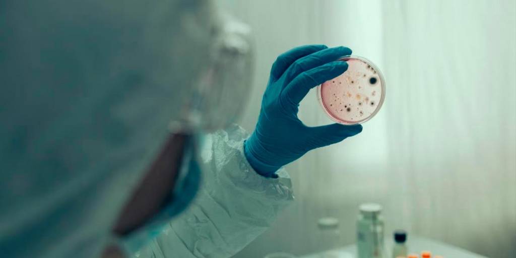 Una persona mira un cultivo de bacterias