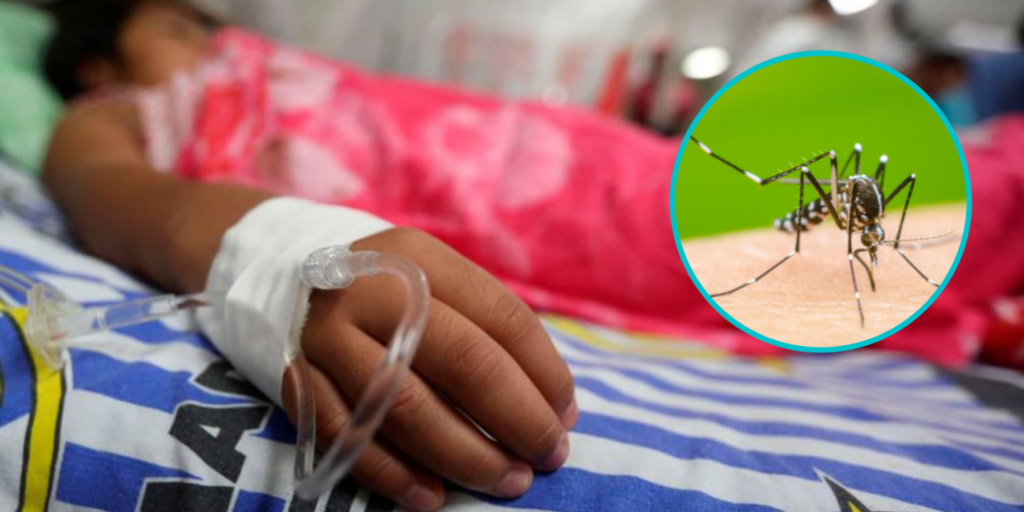 Santa Cruz tiene más de 3.500 casos de dengue registrados