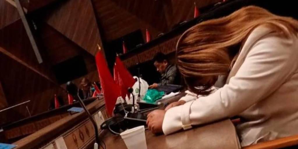 La legisladora Miriam Martínez se encuentra en su curul dentro de la Cámara de Diputados