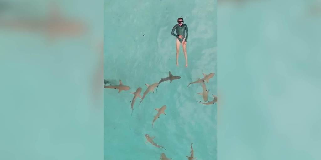 Una bueceadora nada con tiburones a su alrededor