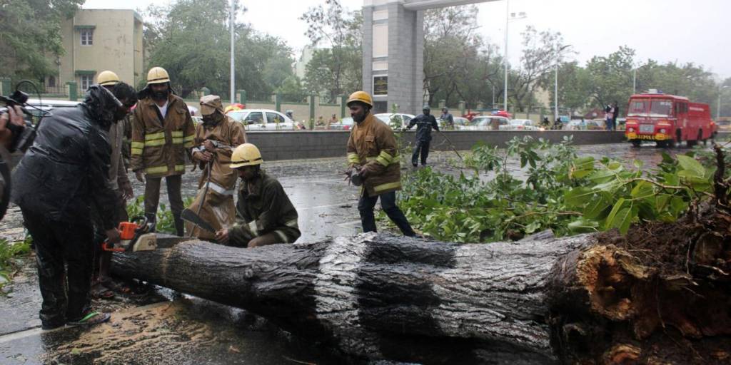 Efectivos de emergencias retiran un árbol caído a consecuencia de los fuertes vientos