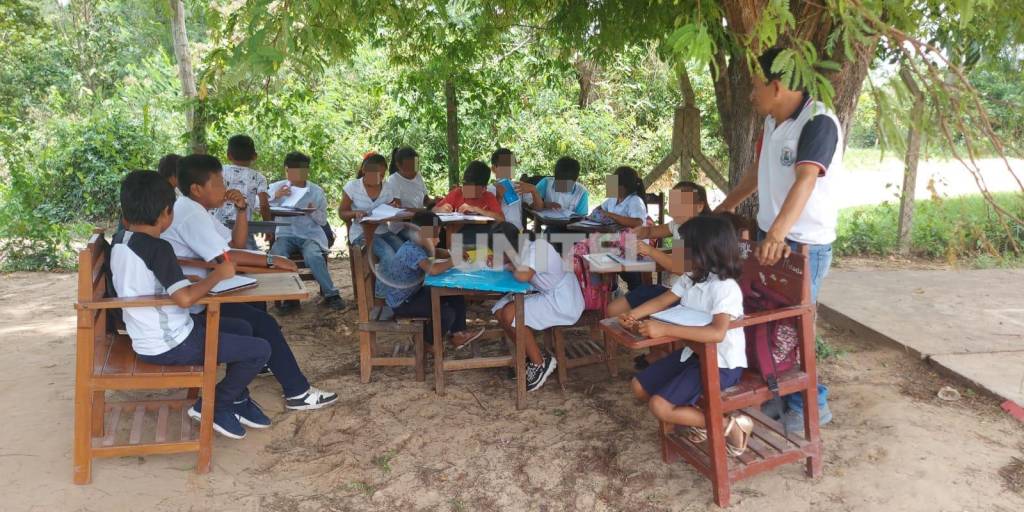 Los estudiantes están pasando clases debajo de un árbol