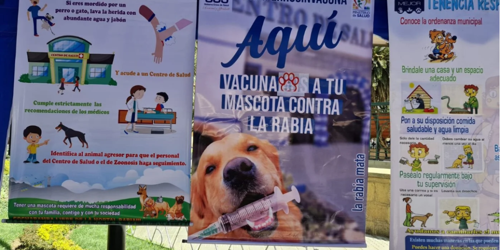 Las campañas de prevención de la rabia canina se realizan de manera regular
