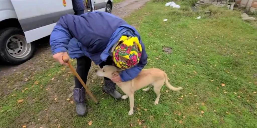 Emotivo reencuentro entre una mujer ucraniana y su perrito después de un bombardeo