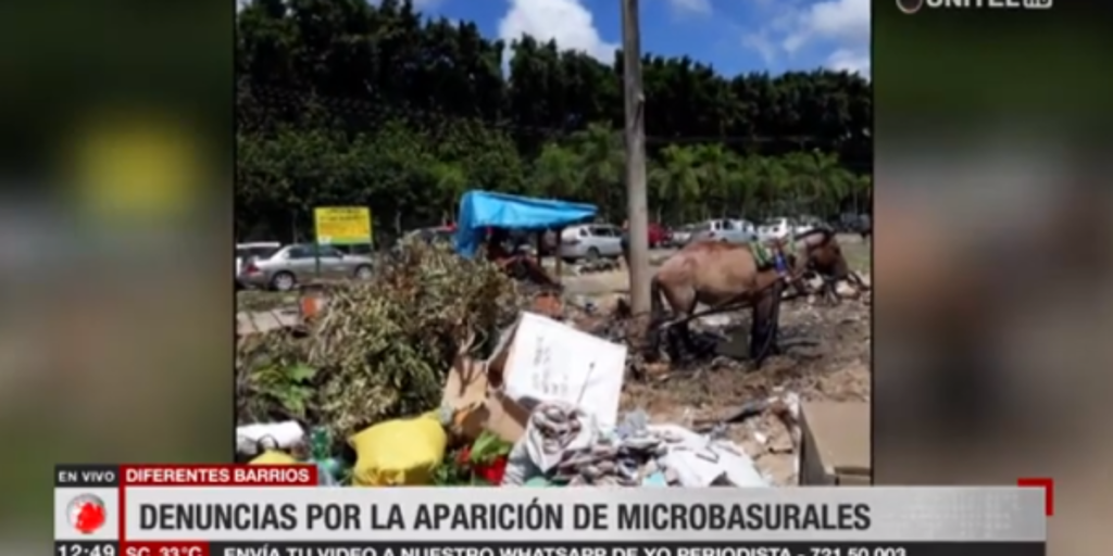 Denuncias de vecinos por la aparición de microbasurales en Santa Cruz