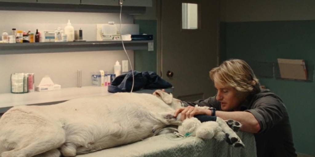 Escena de la película Marley y yo, donde se refleja el dolor de perder a una mascota