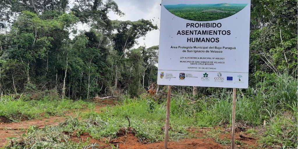 La disposición instruye el desalojo de toda persona que incurra en la tala de árboles y el desmonte, según el reporte