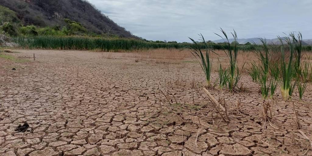 En varias regiones hay afectación por las sequías.