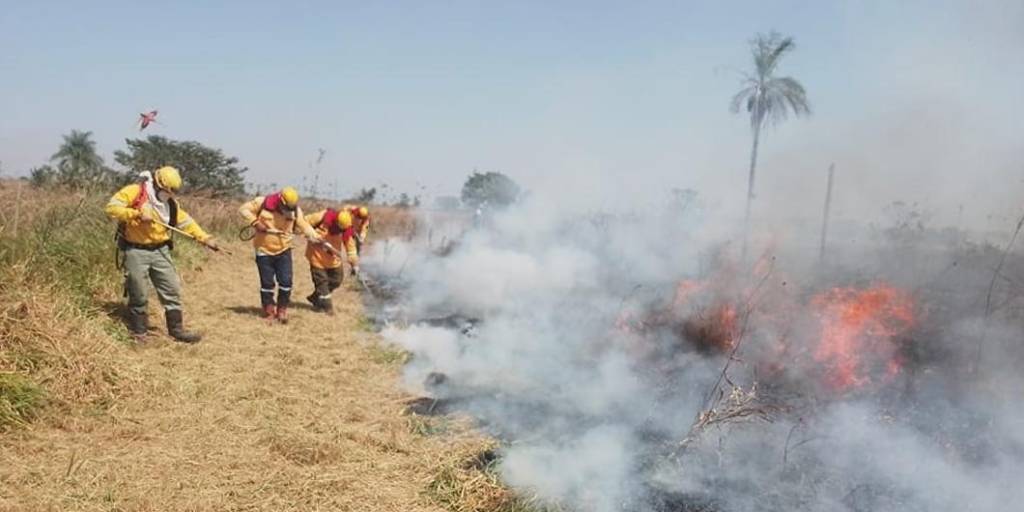 Gran Chaco Reportan incendio forestal en el Parque Nacional Kaa Iya