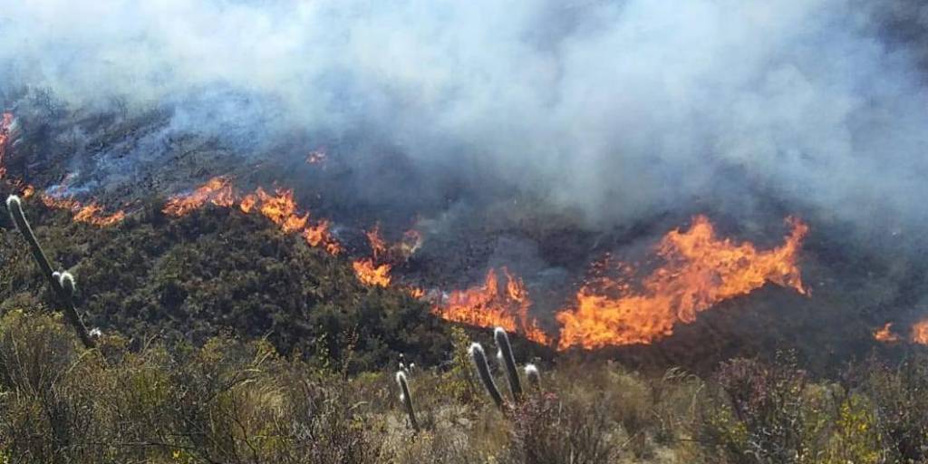 Fuego en Ayahuayco, consume todo a su paso