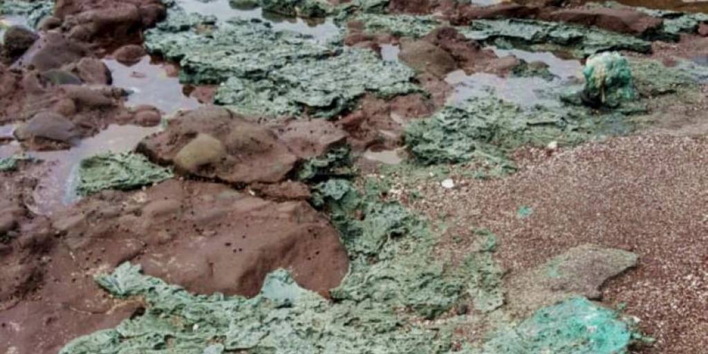La foto divulgada por la Universidad Federal de Paraná (UFPR) sobre las “rocas plásticas” encontradas en la isla Trindade, estado de Espirito Santo, Brasil.