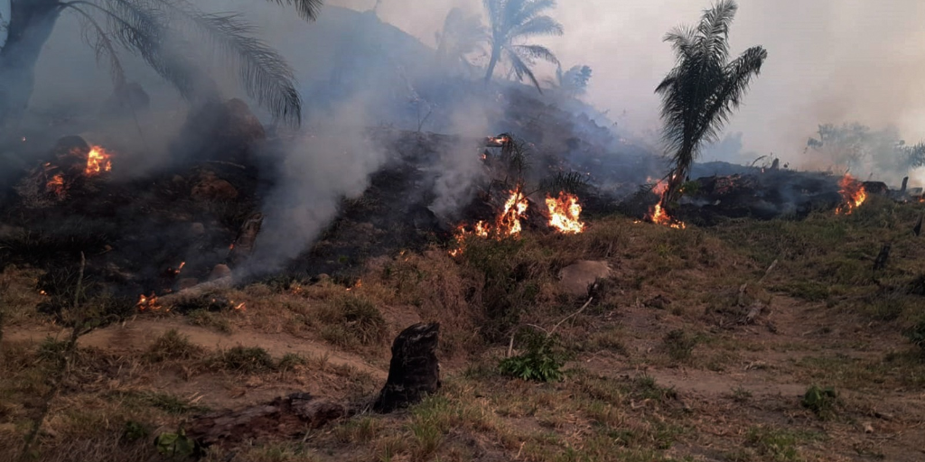Desde Anapo pidieron sancionar a los responsables de las quemas