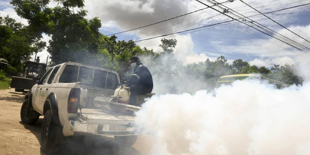 Las autoridades piden eliminar los criaderos de mosquitos en el país