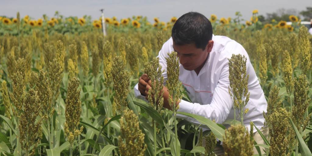 Las parcelas demostrativas es una de las áreas más esperadas y visitadas