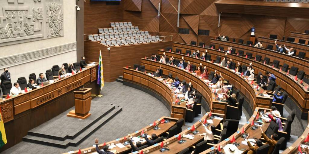 Asamblea Legislativa Plurinacional (ALP)